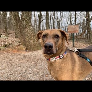 Meet your Posher, Tera